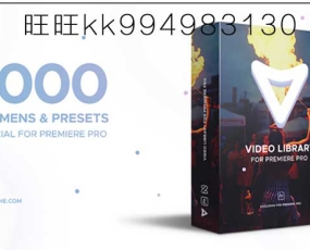 PR模板：1000组视频特效元素包装预设