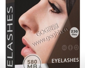 PS后期精修高清人像睫毛素材230张 RAWExchange – Eyelashes