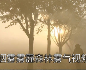 视频素材 50组雾霾雾气烟雾朦胧高清视频素材 1920*1080