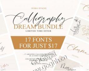 PS字体 17款高端大气手写英文字体婚礼请帖CDR合集Calligraphy Handwritten Font Bundle