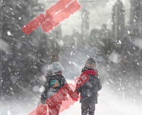 PS样式 75款暴风雪,雪花,轻尘,雨夹雪后期设计效果集