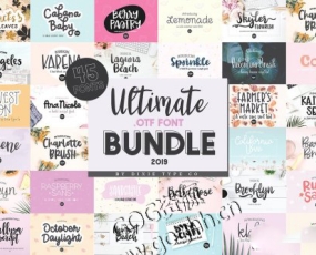 PS字体 45款高端大气手写英文字体CDR合集 ULTIMATE .OTF FONT BUNDLE