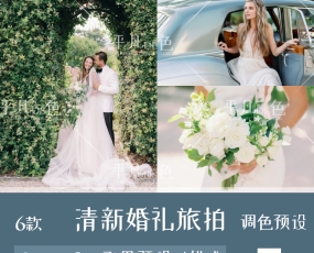 Capture One预设 清新淡雅婚礼旅拍人像肖像调色滤镜C1飞思样式CO195