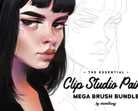 Clip Studio Paint笔刷 50款人像CG油画铅笔水墨绘画粉尘涂抹画笔CSP006