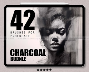Procreate笔刷 42支写实木炭笔纹理铅笔素描肌理草图速写IPAD绘画